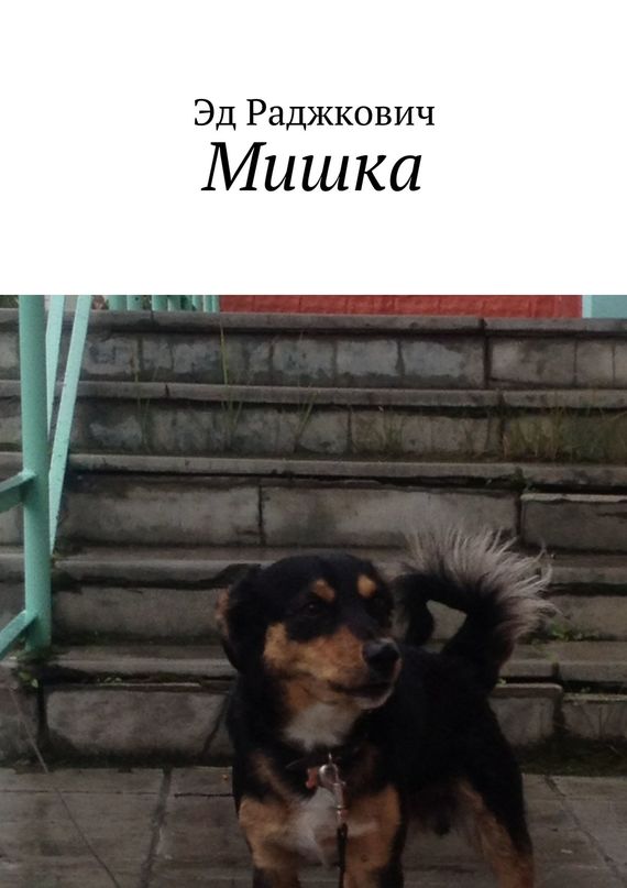 Раджкович Эд - Мишка скачать бесплатно